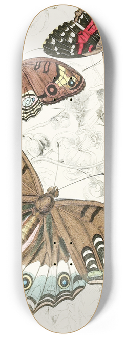 James Duncan - Vanessa Juliana,Vanessa Amathea, Vanessa Orithya 8.25 inch art skate deck