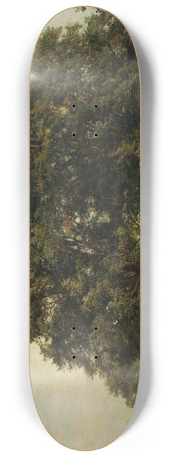 Alois Kirnig - Zmeck park v Zahrdkchs 8.25 inch art skate deck
