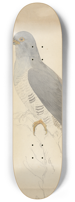 James Sowerby - A Dove 8.25 inch art skate deck