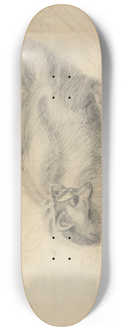 James Sowerby - A skunk with another skunk in the background 8.25 inch art skate deck