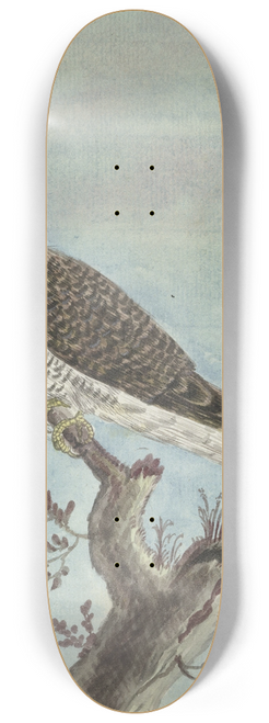 Jan Brandes - Hollandse koekoek 8.25 inch art skate deck