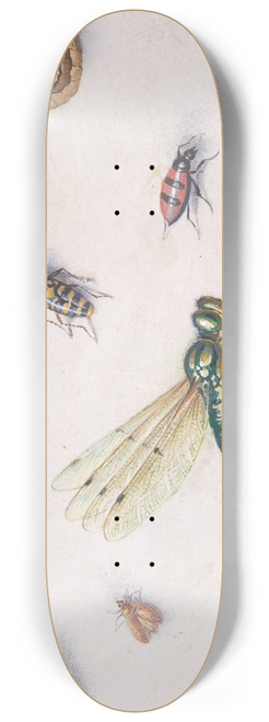Jan Van Kessel The Elder - Insects, Butterflies, and a Dragonfly 8.25 inch art skate deck