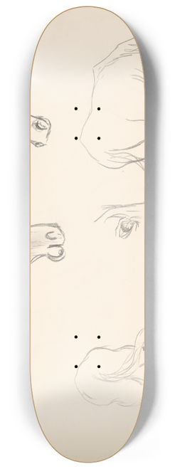 Jn Novk - tdie pascich sa kon 8.25 inch art skate deck