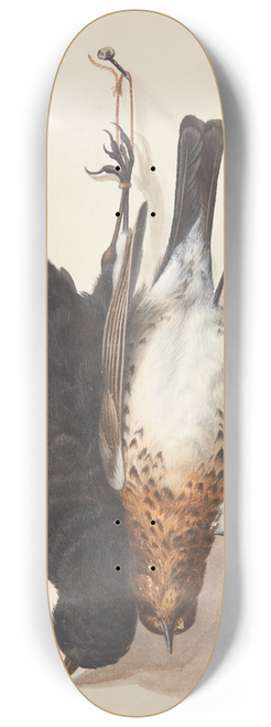 Johanna Fosie - Studie af to dde solsorte, han og hun, ophngt i snor p en p en krog 8.25 inch art skate deck