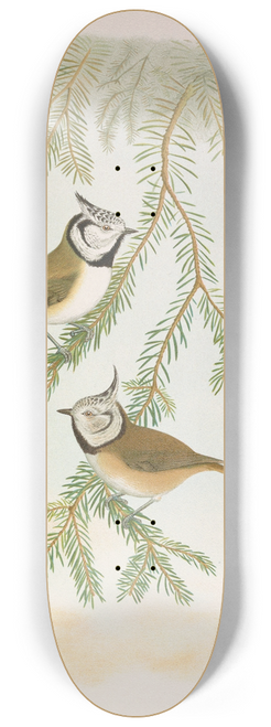 Johann Friedrich Naumann - Parus cristatus 8.25 inch art skate deck