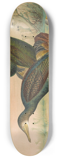 Johann Friedrich Naumann - Phalacrocorax carbo, Phalacrocorax graculus, Phalacrocorax pygmaeus 8.25 inch art skate deck