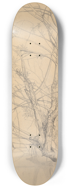 Johann Wilhelm Preyer - Study of a Tree Standing in Water in the Dsseldorf Hofgarten 8.25 inch art skate deck