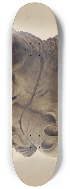 John Davis - Cat Head Gargoyle 8.25 inch art skate deck