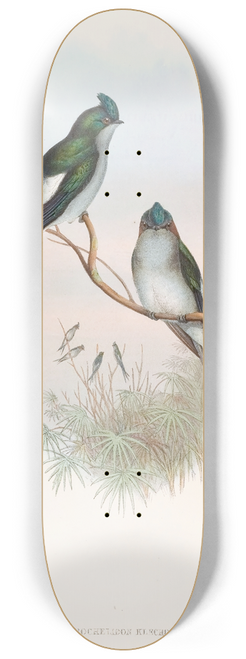 John Gould - Klecho Tree-Swift 8.25 inch art skate deck