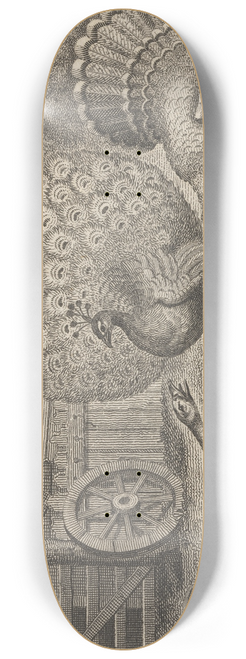 John Wootton - Fable XI. The Peacock, the Turkey, and the Goose 8.25 inch art skate deck
