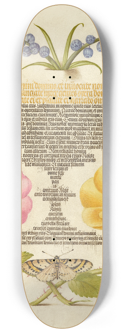 Joris Hoefnagel - Grape Hyacinth, Wasplike Insect, Eglantine, Austrian Brier, and Magpie Moth 8.25 inch art skate deck