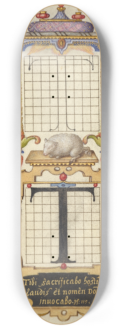 Joris Hoefnagel - Guide for Constructing the Letter T 8.25 inch art skate deck