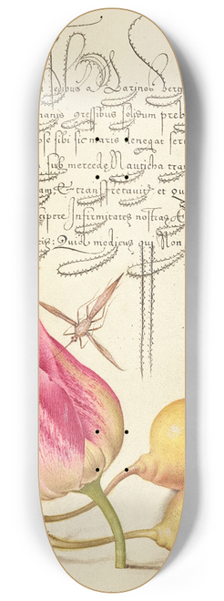 Joris Hoefnagel - Imaginary Insect, Tulip, Spider, and Common Pear 8.25 inch art skate deck