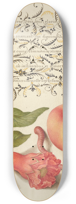 Joris Hoefnagel - Pomegranate, Worm, and Peach 8.25 inch art skate deck