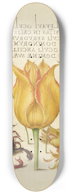 Joris Hoefnagel - Rocket Larkspurs, Tulip, Scorpion, Millepede, and European Filbert 8.25 inch art skate deck