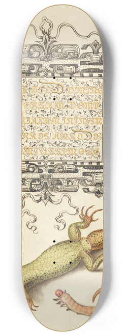Joris Hoefnagel - Scorpionfly, Insect, Lizard, and Insect Larva 8.25 inch art skate deck
