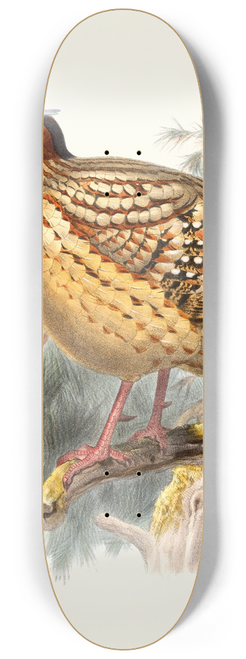 Joseph Smit - Ceriornis Caboti. 8.25 inch art skate deck