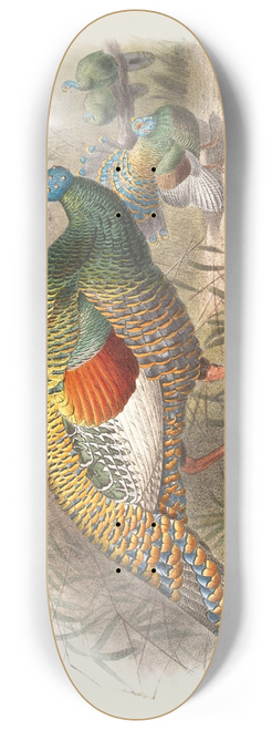 Joseph Smit - Melaeacris Ocellata 8.25 inch art skate deck