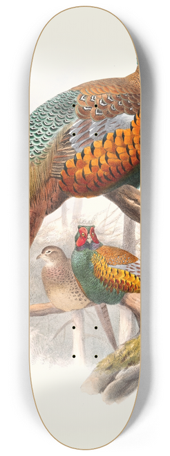 Joseph Smit - Phasianus elegans. 8.25 inch art skate deck