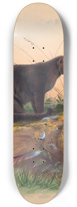 Joseph Wolf - The Yaguarundi Cat 8.25 inch art skate deck