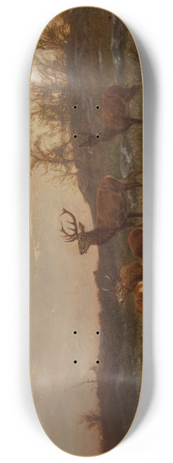 Karl Bodmer - At the Watering Hole 8.25 inch art skate deck