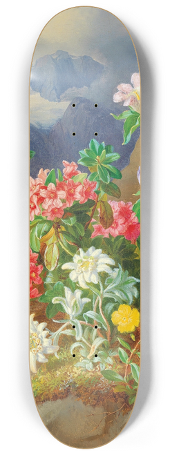 Andreas Lach - Alpine flowers 8.25 inch art skate deck