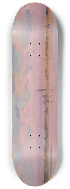 Leon Kamir-Kaufmann - View of Lido 8.25 inch art skate deck