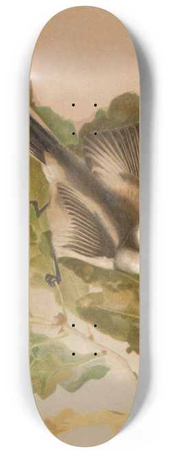 Lo-Paul Robert - Msange a longue queue 8.25 inch art skate deck