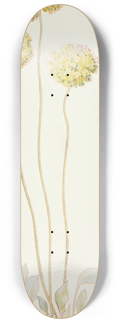 Margaret Armstrong - Butter Balls 8.25 inch art skate deck