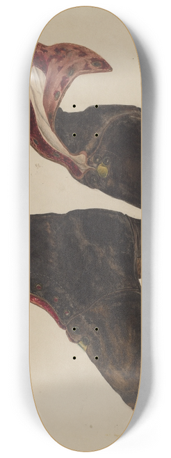 Marjorie McIntyre - Boys Shoes 8.25 inch art skate deck