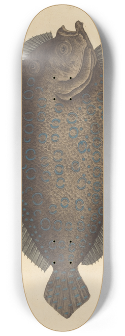 Mark Catesby - The Sole (Pleuronectes lunatus) 8.25 inch art skate deck