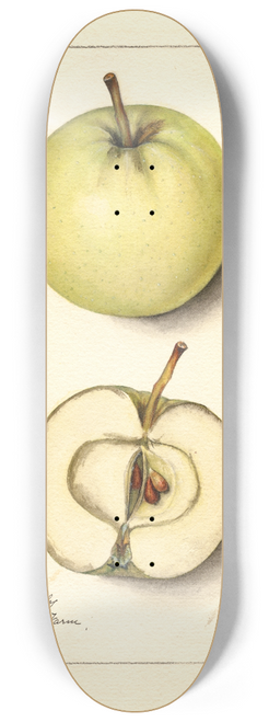 Mary Daisy Arnold - Malus domestica: Trenton Early 8.25 inch art skate deck