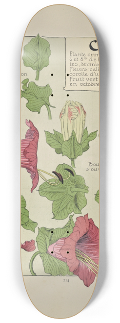 Maurice Pillard Verneuil - Cobea 8.25 inch art skate deck