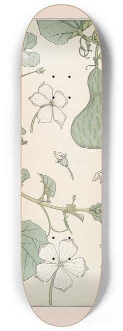 Maurice Pillard Verneuil - Courge 8.25 inch art skate deck