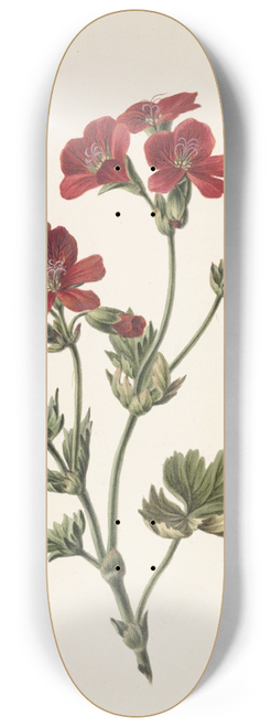 M. de Gijselaar - Rode bloem 8.25 inch art skate deck