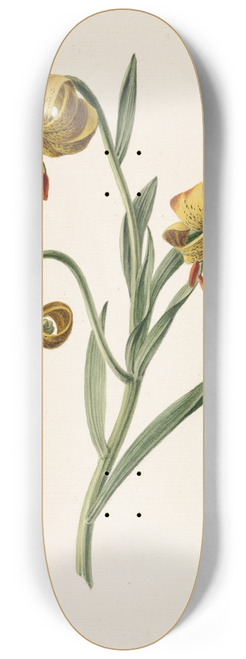 M. de Gijselaar - Tak met drie gele lelies 8.25 inch art skate deck