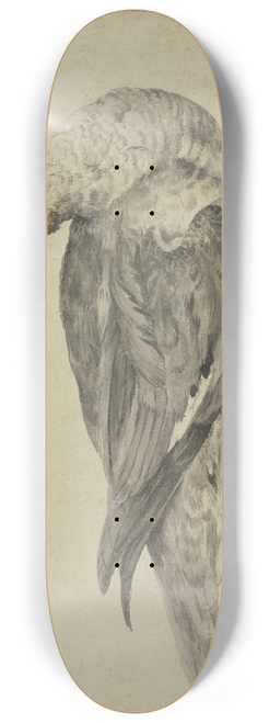 Melchior d'Hondecoeter - Liegende Ente mit brauner Haube, rotem Schnabel und Fen 8.25 inch art skate deck