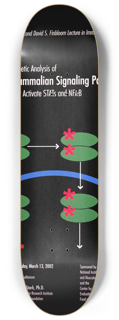 National Institutes of Health - Genetic analysis of mammalian signaling pathways that activate STATs and NFkB 8.25 inch art skate deck