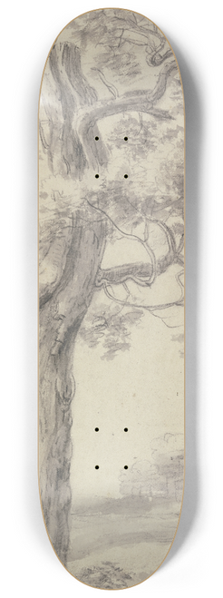 Antonie Waterloo - Eichbaum mit zerrissener Rinde 8.25 inch art skate deck