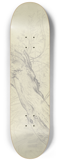 Otto Scholderer - A crooked willow tree 8.25 inch art skate deck