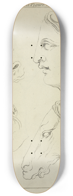 Peter Paul Rubens - Horses heads and human head in profile, with detail of horses eye and nose 8.25 inch art skate deck
