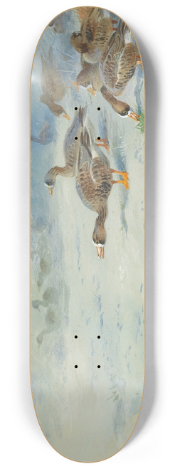 Archibald Thorburn - Arnacle Geese 8.25 inch art skate deck