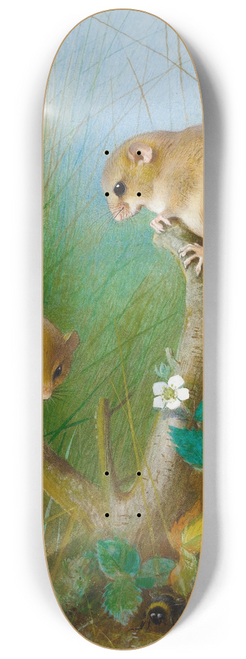 Archibald Thorburn - Dormice 8.25 inch art skate deck