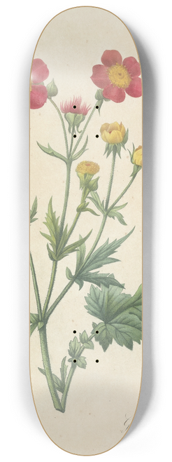 Pierre Joseph Redout - Choix des plus belles fleurs pl 012 8.25 inch art skate deck