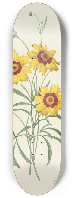 Pierre Joseph Redout - Choix des plus belles fleurs pl 026 8.25 inch art skate deck