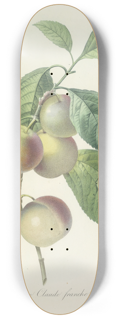 Pierre Joseph Redout - Choix des plus belles fleurs pl 085 8.25 inch art skate deck