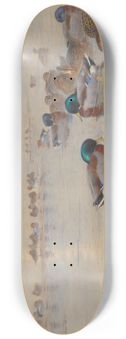 Archibald Thorburn - Mallards on a lake 8.25 inch art skate deck