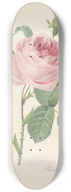 Pierre Joseph Redout - Choix des plus belles fleurs pl 087 8.25 inch art skate deck