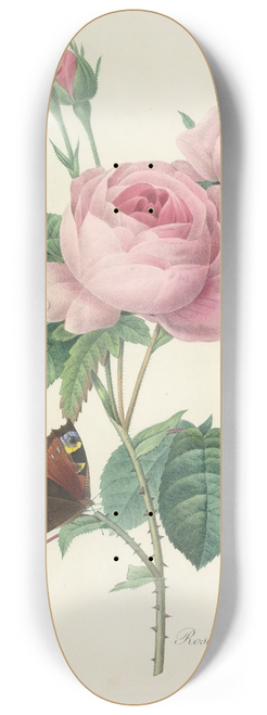 Pierre Joseph Redout - Choix des plus belles fleurs pl 088 8.25 inch art skate deck