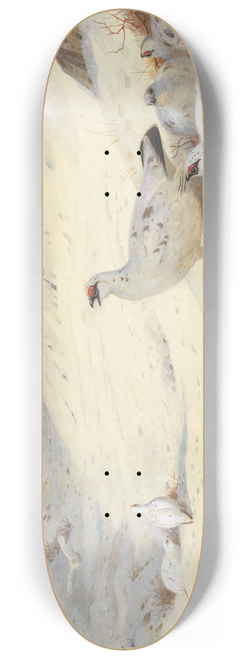 Archibald Thorburn - Ptarmigan in winter plumage signed and dated Archibald Thorburn. 1899 8.25 inch art skate deck